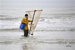 Pêche au pousseux